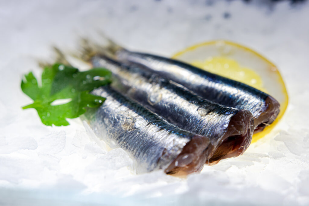 Sardele, sardines