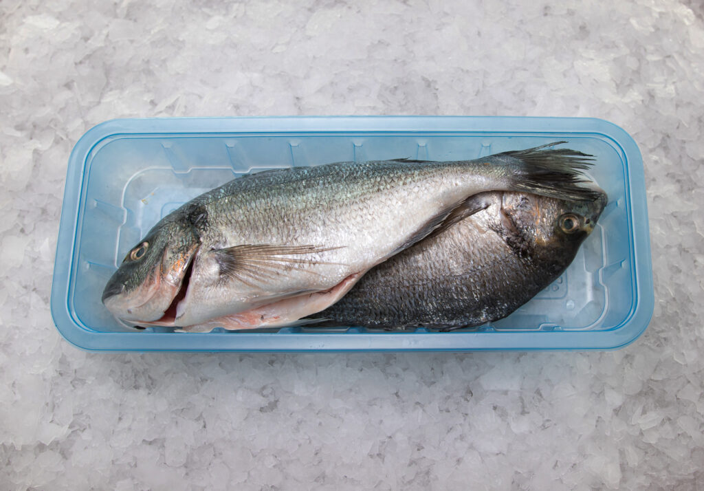Orada očiščena, sea bream gutted