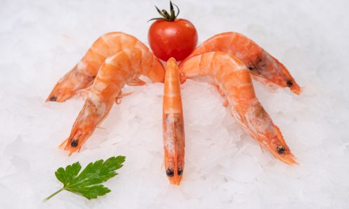 Kozice, shrimps